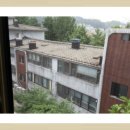 대광칼라 Daum카페
