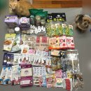 (주)티이케이코리아 | [일산] 2026 시즌1 메가주 간단 관람후기 | 부스배치도, 참가업체, 주차, 꿀팁 | 강아지 고양이 박람회