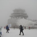 지경꽃화원