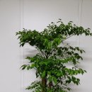 세종송담교회 이미지