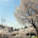 소사벌레포츠타운(농구장) 네이버블로그