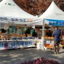 장터유통