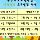 강릉제일오토 네이버블로그