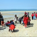 청파초등학교 이미지