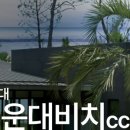 와이드오션골프