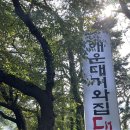 미르대구탕