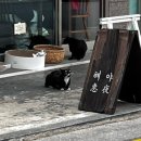 혜야