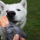 오메가플러스 이미지