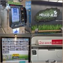 가족관계 | 아기와 제주도 비행기 여행｜김포공항 발급 가족관계증명서·모바일 신분증 후기(ft. 비용, 체크인)