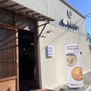 울릉도며느리