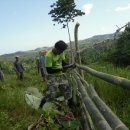 방목농장 이미지