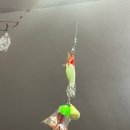 하나유선(하나호) 이미지