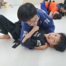 키즈mma짐 이미지