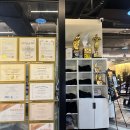 베니스짐 이미지