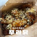 동탄대로6길 | [배달]파브리셰프의 푸라닭 신메뉴:파브리 파불로 내돈내산 솔직 후기