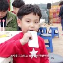 청송해뜨는농장 이미지