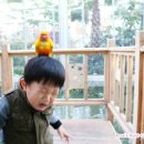 경주버드파크 네이버블로그