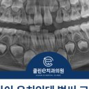 감일퍼스트치과의원 네이버블로그
