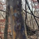 명상주차장(대금산 아래) | 거제도 명상 여행, 대금산·노자산 걷기명상 후기