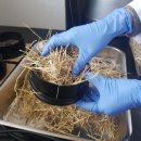 경상남도 축산연구소 이미지