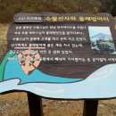 천장사