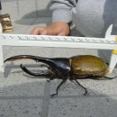 해라클래스 이미지