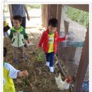 상일농장 이미지