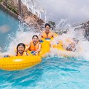 스플라스리솜 이미지