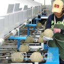 도포농협 이미지