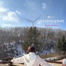 천원목장 | 평창 가볼만한 곳 : 대관령 양떼목장 삼양라운드힐 겨울 방문 후기