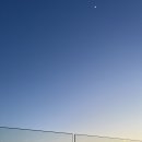 와이드 커피 스탠드 이미지