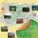 수도산과길손들 Daum카페