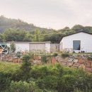 토끼집스테이 이미지