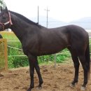 청화목장 이미지