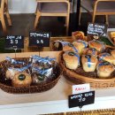 [서부] 건강빵과 발효종 | [외대] 빵명장 외대점| 천연발효종으로 건강하게!베이글부터 에그샌드위치까지 솔직 후기💛