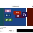 드래곤패스트
