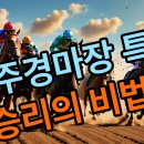 제주스피드코너 이미지