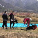 다섯 난장이 이미지