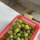 세아농장 이미지