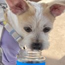 아이즈동물병원 이미지