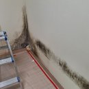 하나로동물약품 이미지