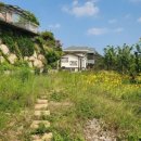 장안읍반룡리-80 이미지