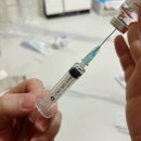 용수약국 | 시험관 2차 과배란 자가주사 시작│퍼고베리스 통증과 부작용 후기