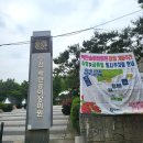 [경기도] 부천 백만송이 장미원 장미축제 포토존 명소(봉순게장 맛집)방문 후기
