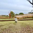 오이도선사유적공원(후문) 이미지