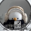 김시연미용실 | [시현하다] 사진관 꿀팁 및 민증용 증명사진 후기, KFAS 서포터즈 명함 탄생 과정까지! TMI 대방출