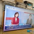 이스트라대구 이미지