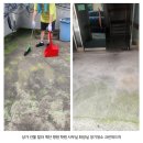 유가면 | 대구 달성군 계단청소 현풍면 유가면 구지면 화원읍 빌라 상가 건물 병원 학원 화장실 식당 매장청소업체