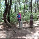 신복초등학교 이미지