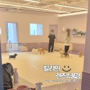 아소비 퍼피스 이미지